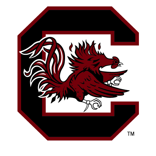 university of south carolina